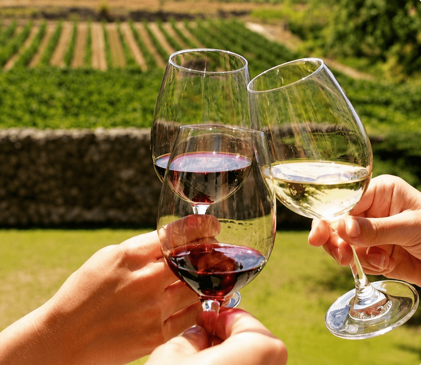 Cape Winelands wine tasting